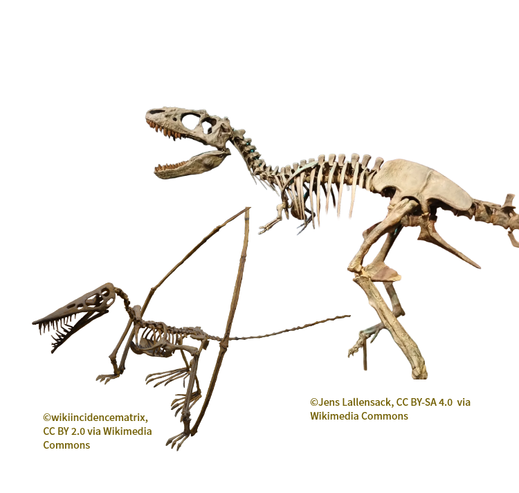 &copy;wikiincidencematrix, CC BY 2.0 via Wikimedia Commons &copy;Jens Lallensack, CC BY-SA 4.0  via Wikimedia Commons